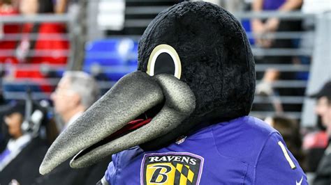 Recording fails: Ravens mascot edition